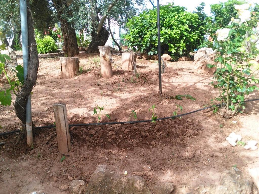 Alojamientos Rurales La Loma Pozo Alcón Exterior foto